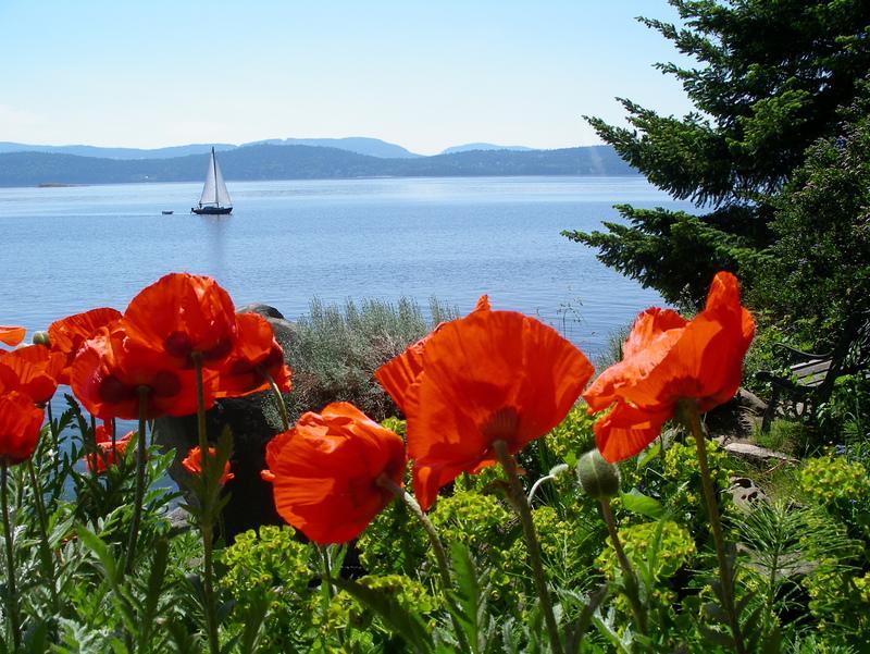 Serenity By The Sea Retreats Montague Harbour Exteriör bild
