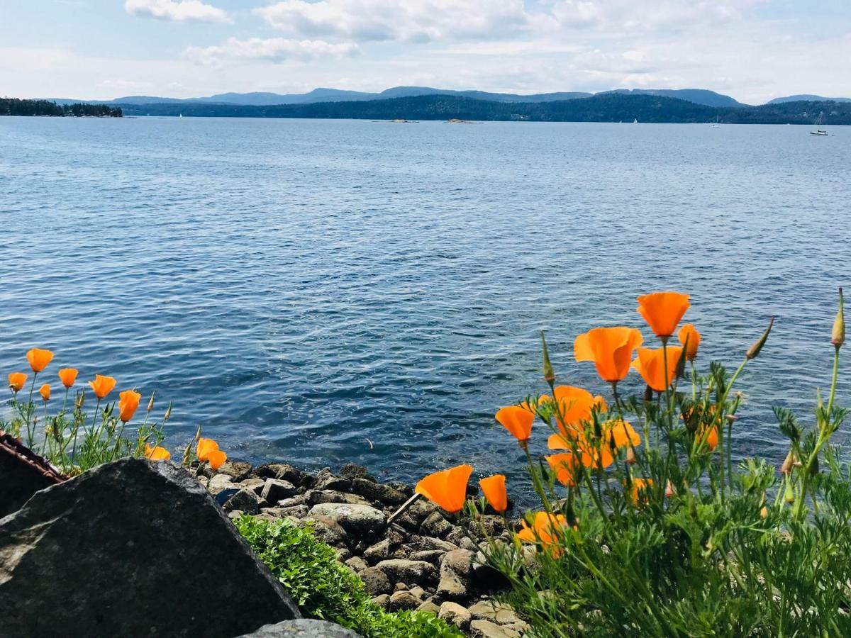 Serenity By The Sea Retreats Montague Harbour Exteriör bild